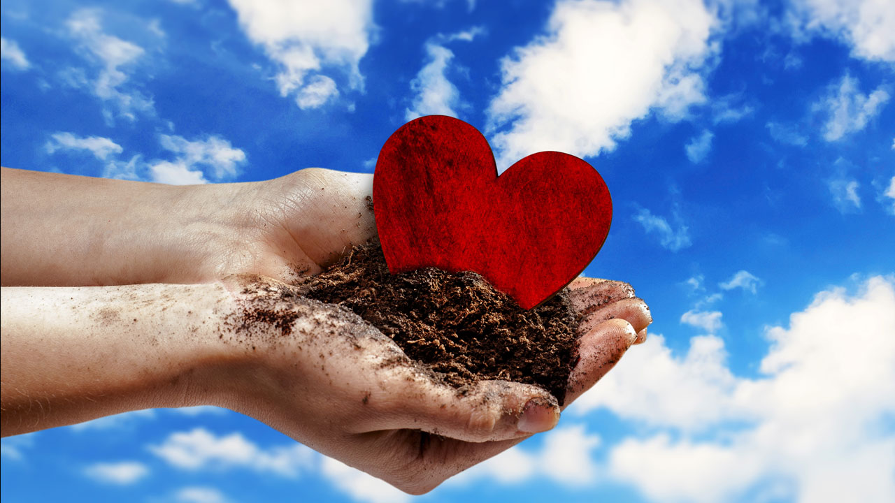 An iStock image showing a red heart held in two hands.