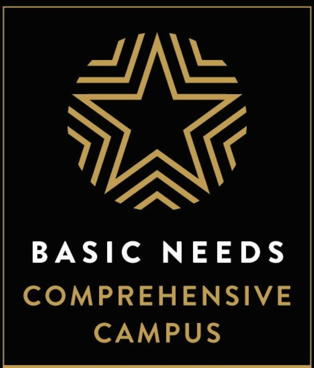 Basic Needs logo